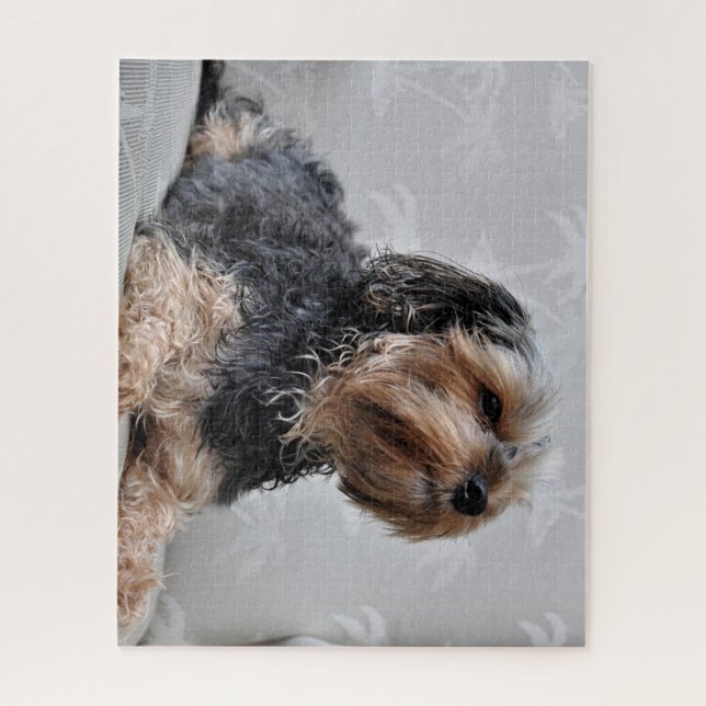 Cute Yorkie Yorkshire Terrier Sunbathing Jigsaw Puzzle (Vertical)