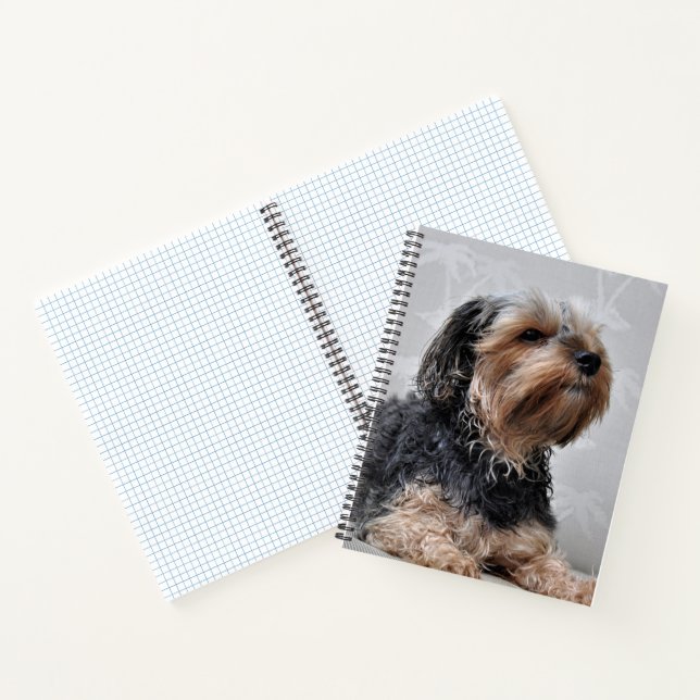 Cute Yorkie Yorkshire Terrier Sunbathing  Notebook (Inside)