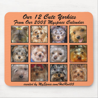 CUTE YORKIES 2008 CALENDAR ( mousepad) APRICOT Mouse Mat