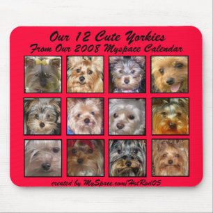 CUTE YORKIES 2008 CALENDAR (on a mousepad) RED Mouse Mat