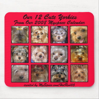 CUTE YORKIES 2008 CALENDAR (on a mousepad) RED Mouse Mat