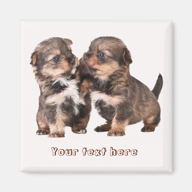 Cute Yorkshire Puppies Magnet (Front)