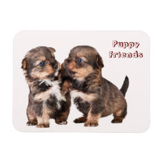 Cute Yorkshire Puppies Magnet