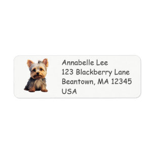 Cute Yorkshire Terrier