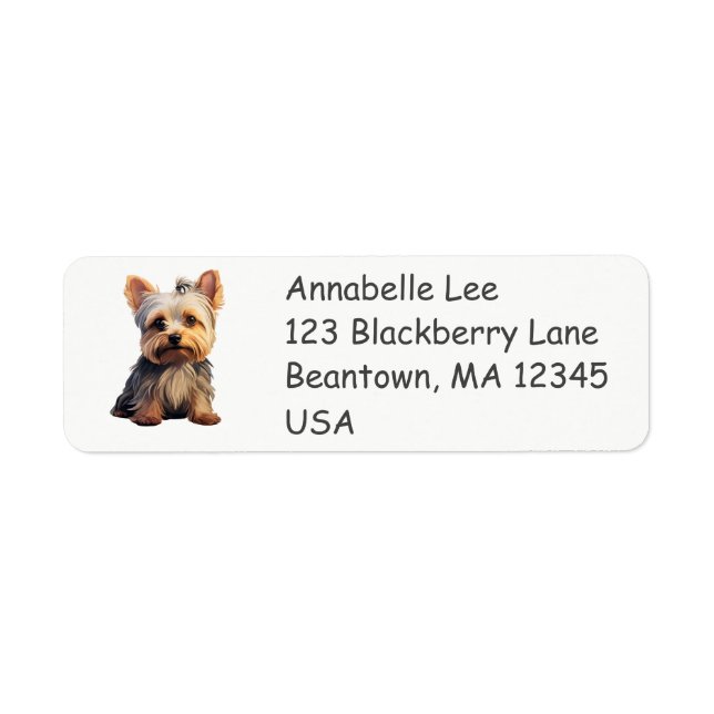 Cute Yorkshire Terrier (Front)