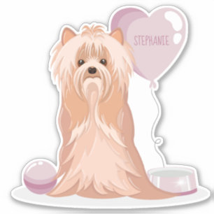 Cute Yorkshire Terrier Birthday