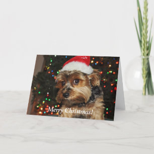 Cute Yorkshire Terrier Christmas Card