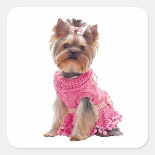 Cute Yorkshire Terrier Diva Yorkie Puppy Dog Square Sticker