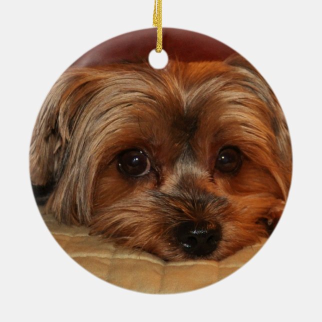 Cute Yorkshire Terrier Dog Ceramic Tree Decoration (Back)