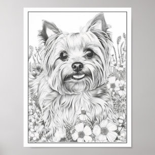 Cute Yorkshire Terrier Dog Colouring Poster