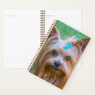 Cute Yorkshire Terrier Dog Head Planner