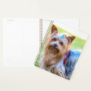 Cute Yorkshire Terrier Dog Head Planner