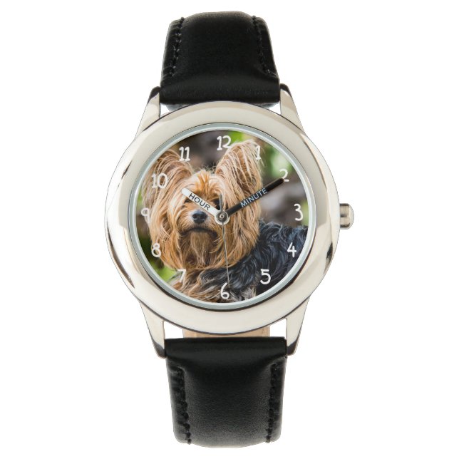 Cute Yorkshire Terrier Dog in garden Watch (Front)