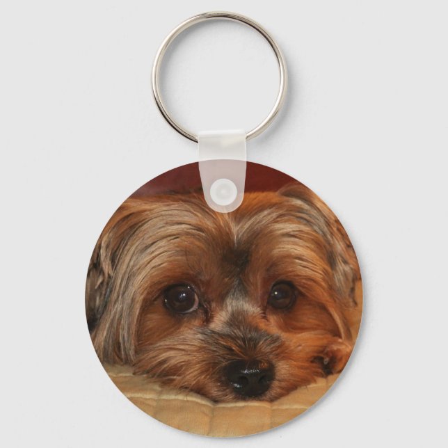 Cute Yorkshire Terrier Dog Key Ring (Front)