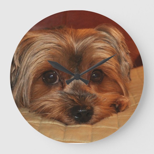 Cute Yorkshire Terrier Dog Large Clock (Front)