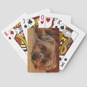 Cute Yorkshire terrier dog Yorkie Puppy Playing Cards
