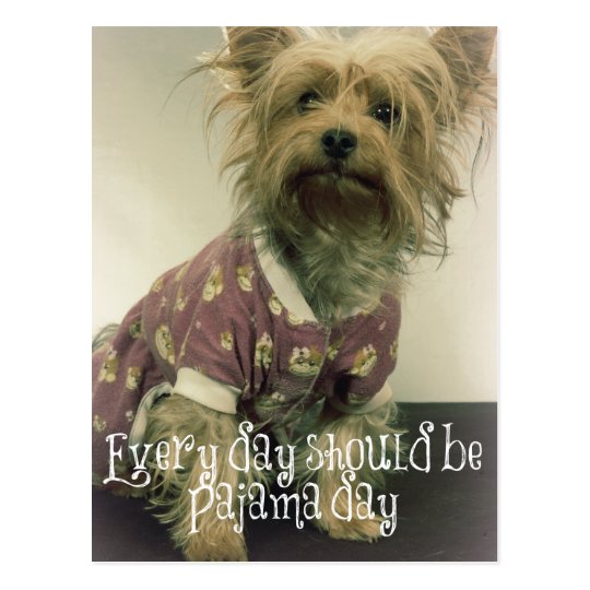 Cute Yorkshire Terrier in Pyjamas with Quote Postcard
