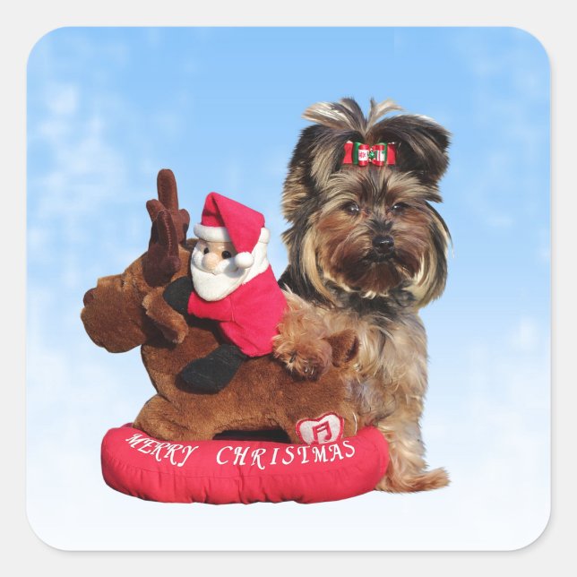 Cute Yorkshire Terrier Merry Christmas Square Sticker (Front)
