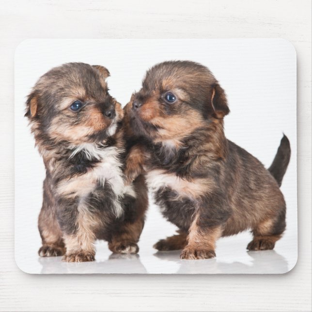 Cute Yorkshire Terrier Puppies Mouse Mat (Front)