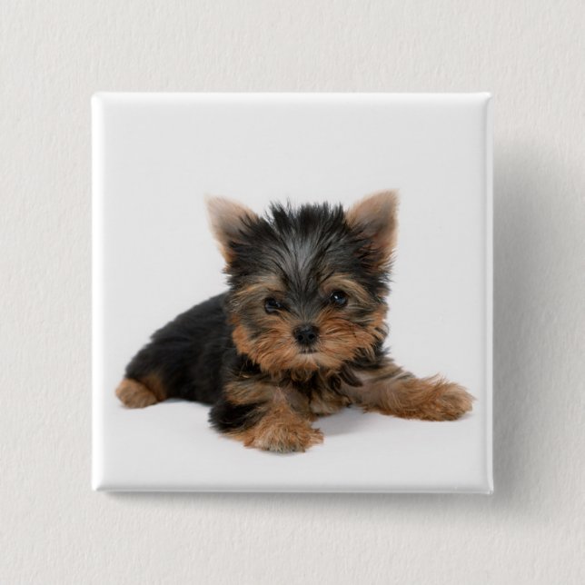 Cute Yorkshire Terrier Puppy 15 Cm Square Badge (Front)
