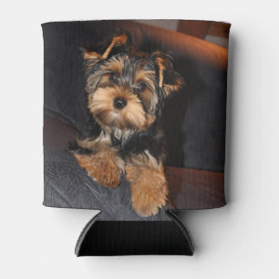Cute Yorkshire Terrier Puppy Dog Can Cooler
