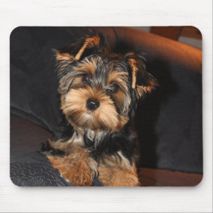 Cute Yorkshire Terrier Puppy Mouse Mat
