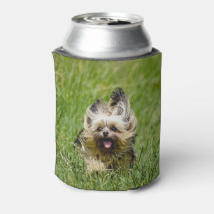 Cute Yorkshire Terrier Running Through Grass Can Cooler