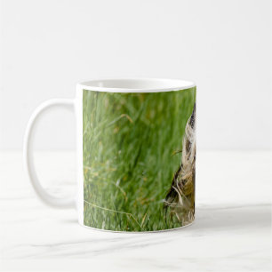 Cute Yorkshire Terrier Running Through Grass Coffee Mug