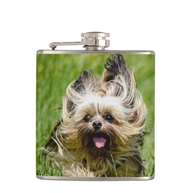 Cute Yorkshire Terrier Running Through Grass Hip Flask (Front)
