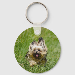 Cute Yorkshire Terrier Running Through Grass Key Ring