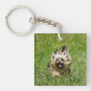 Cute Yorkshire Terrier Running Through Grass Key Ring