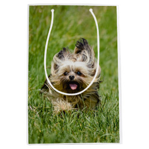 Cute Yorkshire Terrier Running Through Grass Medium Gift Bag