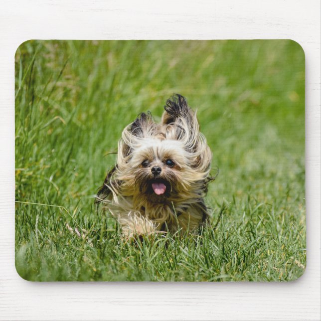 Cute Yorkshire Terrier Running Through Grass Mouse Mat (Front)