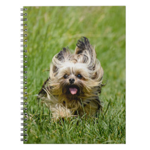 Cute Yorkshire Terrier Running Through Grass Notebook