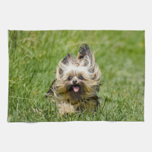 Cute Yorkshire Terrier Running Through Grass Tea Towel