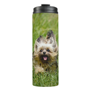 Cute Yorkshire Terrier Running Through Grass Thermal Tumbler