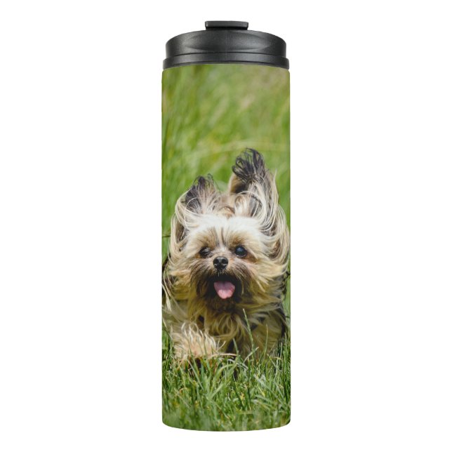 Cute Yorkshire Terrier Running Through Grass Thermal Tumbler (Front)
