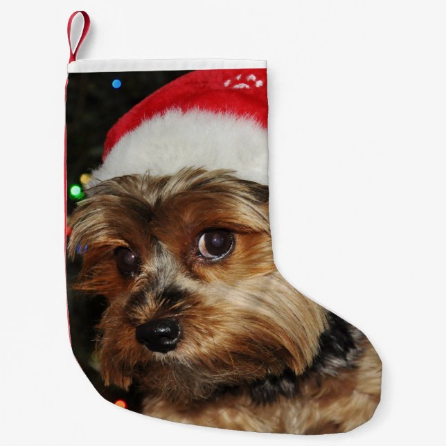 Cute Yorkshire Terrier with Santa Hat Small Christmas Stocking (Front)