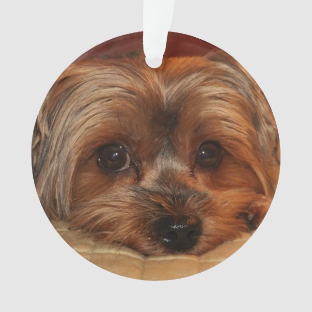 Cute Yorkshire Terrier  Yorkie Dog Ornament (Front)