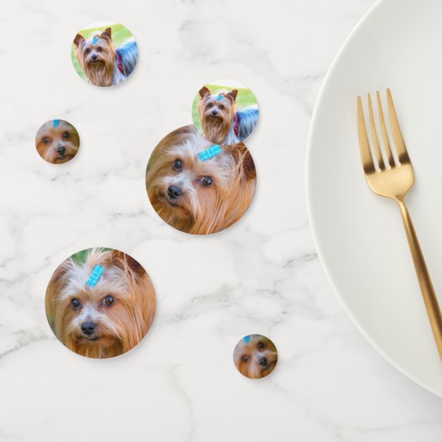 Cute Yorkshire Terrier Yorkie Favourite Breed Confetti (Group)