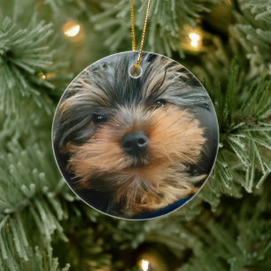 Cute Yorkshire Terrier Yorkie Puppy Dog Ceramic Tree Decoration