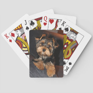 Cute Yorkshire Terrier Yorkie Puppy Dog Playing Cards
