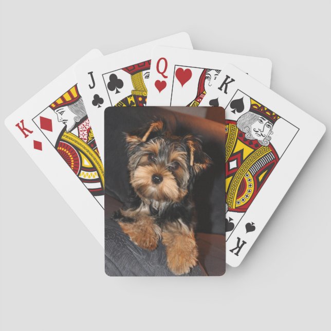 Cute Yorkshire Terrier Yorkie Puppy Dog   Playing Cards (Back)