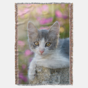 Cute Young Bicolor Cat Kitten Pink Flowers - Throw Blanket