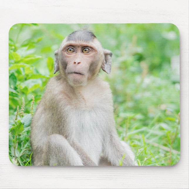 Cute Young Brown Spider Monkey Mouse Mat (Front)