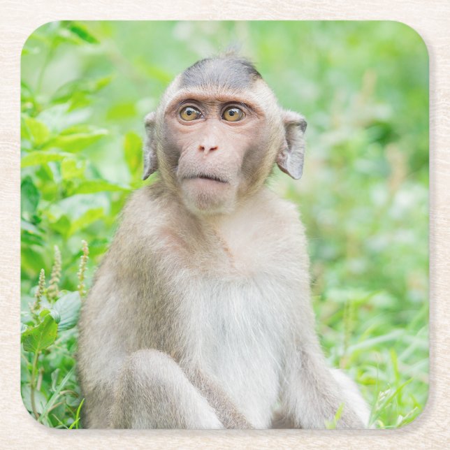 Cute Young Brown Spider Monkey Square Paper Coaster (Front)