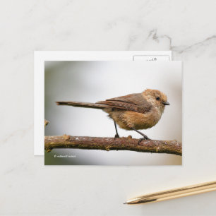 Cute Young Bushtit on the Hybrid Fruit Tree Postcard
