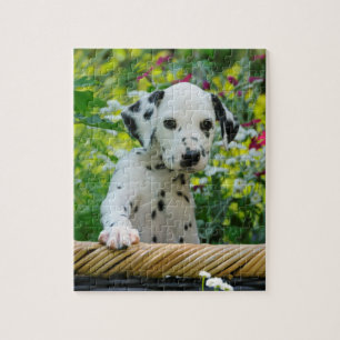 Cute Young Dalmatian Dog Puppy Game 8x10 Jigsaw Puzzle