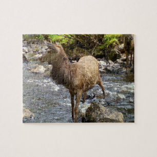 Cute Young Deer by River Scene Forest Wildlife  Jigsaw Puzzle