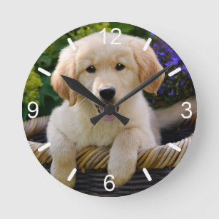 Cute Young Golden Retriever Dog Puppy - dial-plate Round Clock